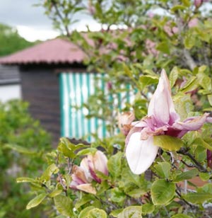 garten Garten